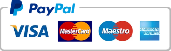PayPal, Visa, Mastercard, Maestro, American Express