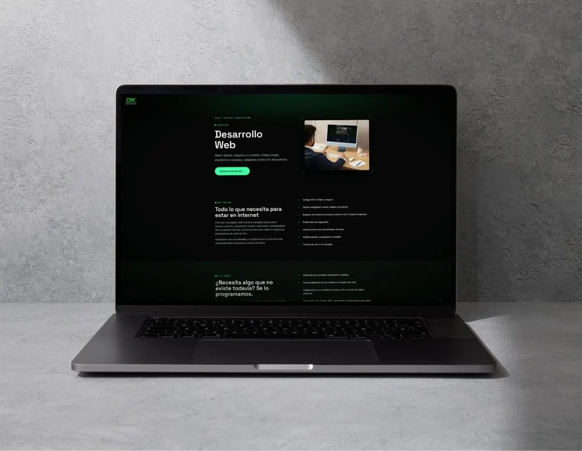 Laptop showing the OK Multimedia website