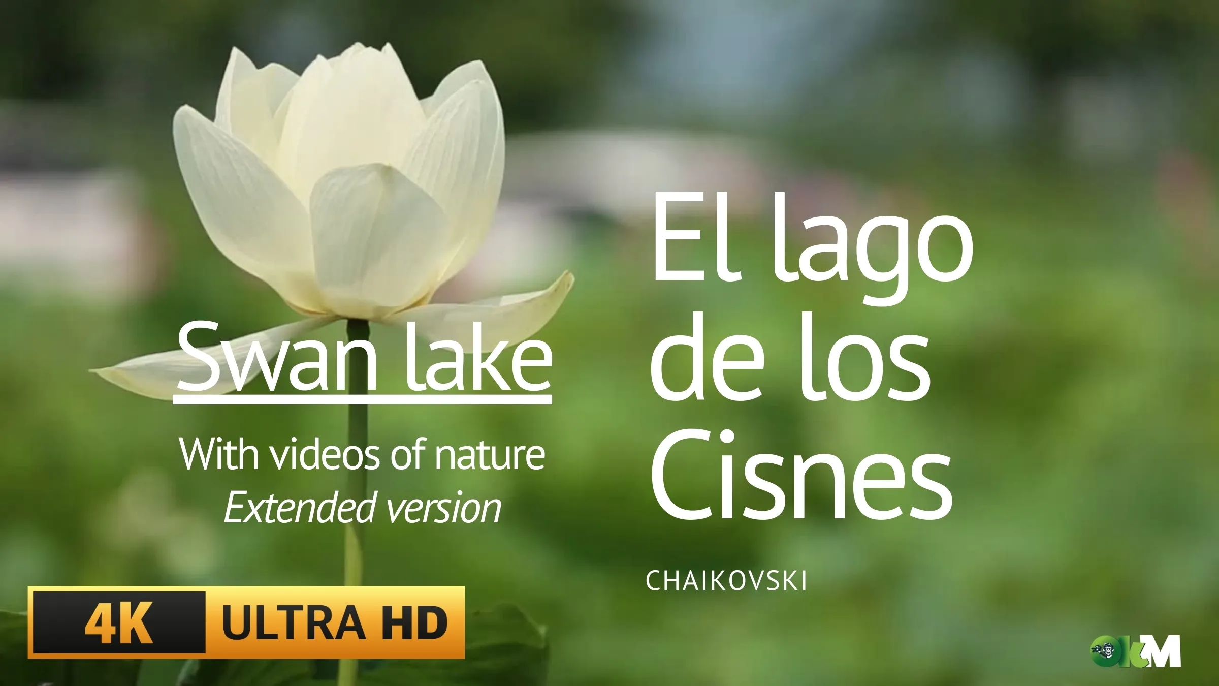 El Lago de los Cisnes